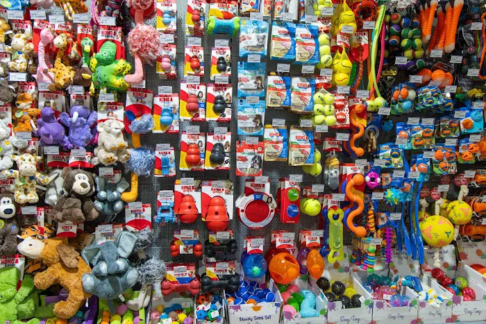 Jollyes - The Pet People Cardiff Picture 10