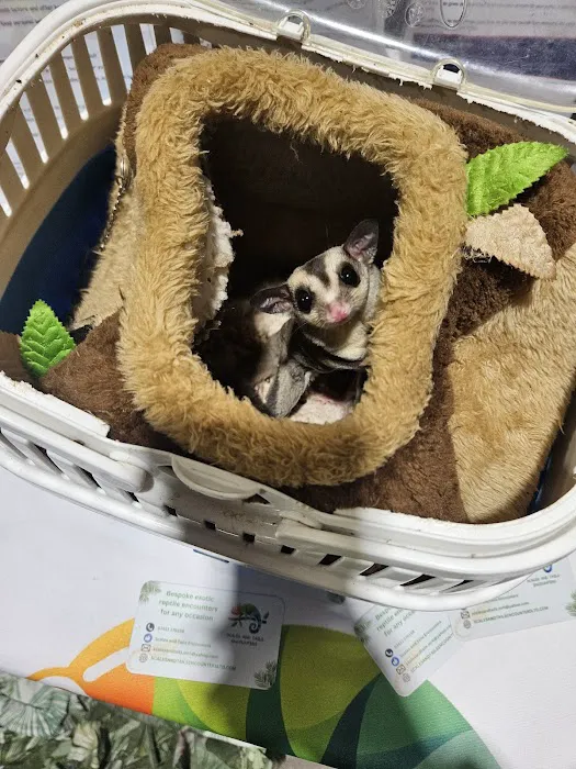 Jollyes - The Pet People Cardiff Picture 8