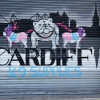 Cardiff K9 Supllies ico
