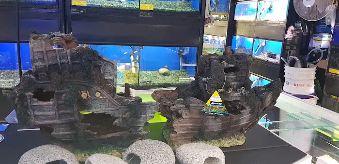 Aquatic World Picture 3