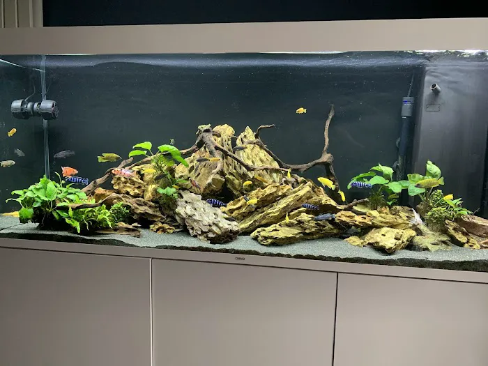 Aquatic World Picture 1