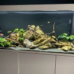 Aquatic World