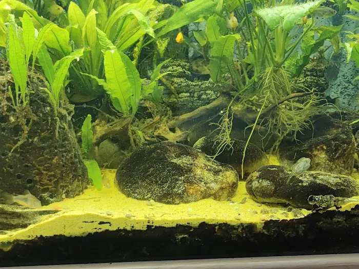 Aquatic World Picture 5