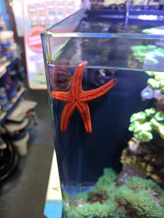 Aquatic World Picture 4