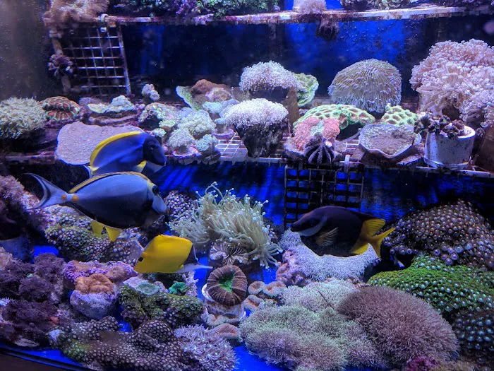 Aquatic World Picture 7