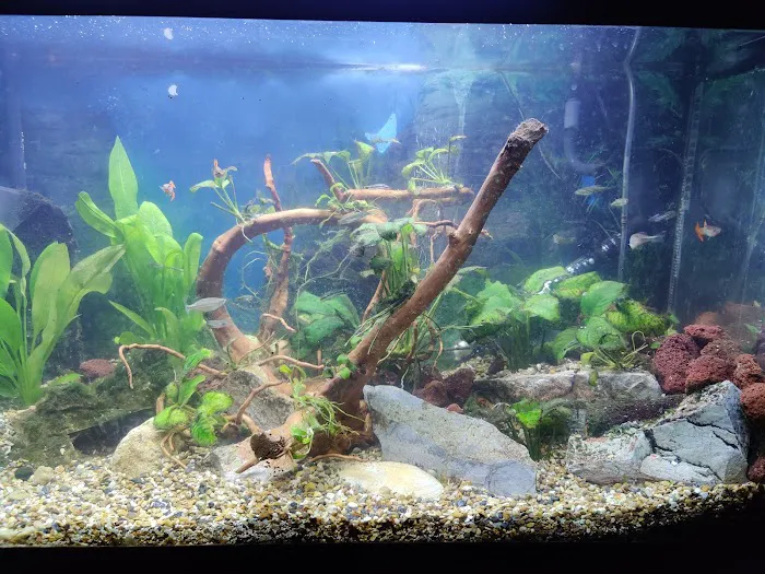 Aquatic World Picture 9