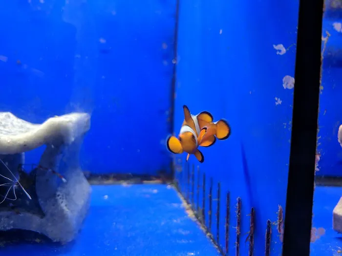 Aquatic World Picture 8