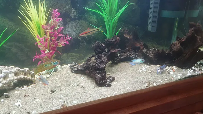 Aquatic World Picture 10