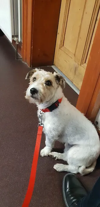Braemar Veterinary Clinic Picture 1