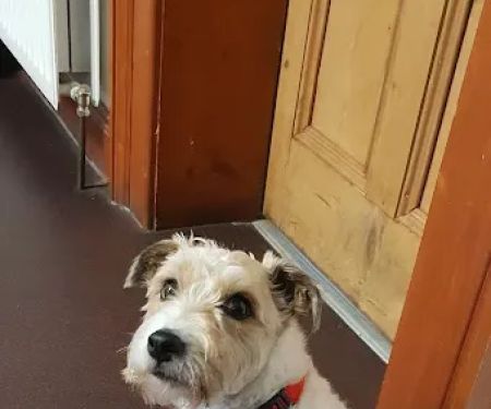 Braemar Veterinary Clinic
