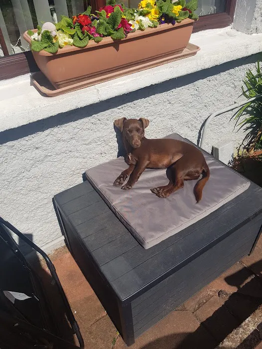 Braemar Veterinary Clinic Picture 7