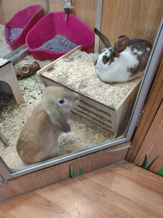 Pets at Home Cardiff Ty Glas Picture 2