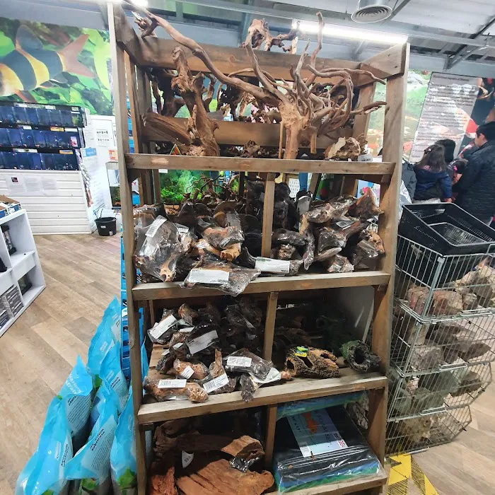 Maidenhead Aquatics St Mellons Picture 2