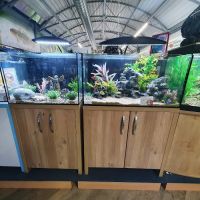 Maidenhead Aquatics St Mellons ico