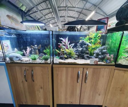 Maidenhead Aquatics St Mellons