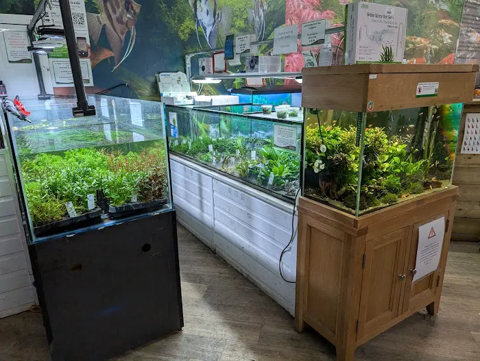 Maidenhead Aquatics St Mellons Picture 3