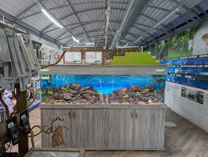 Maidenhead Aquatics St Mellons Picture 4