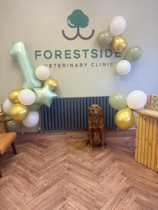 Forestside Veterinary Clinic Picture 2