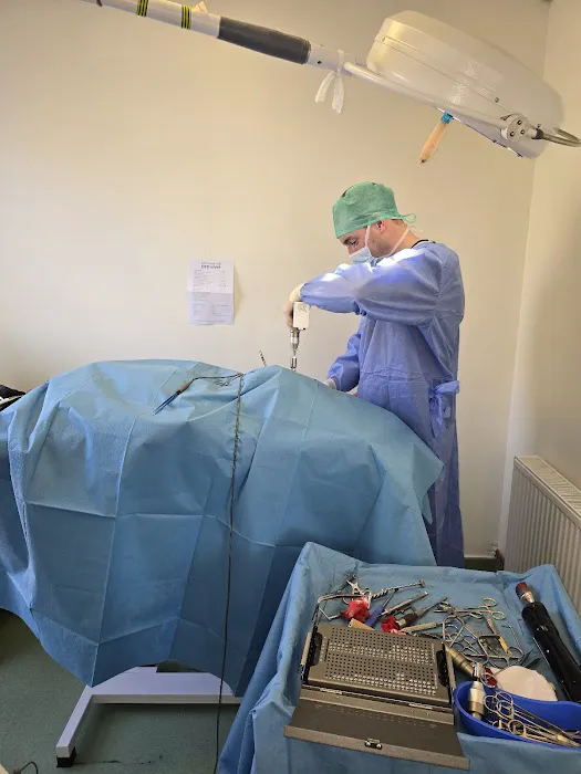 Forestside Veterinary Clinic Picture 6