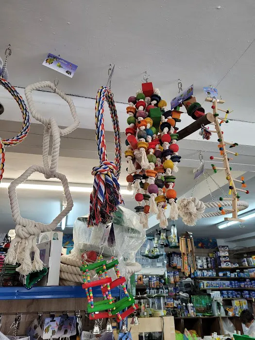 PET SUPPLIES. PLUS Picture 6