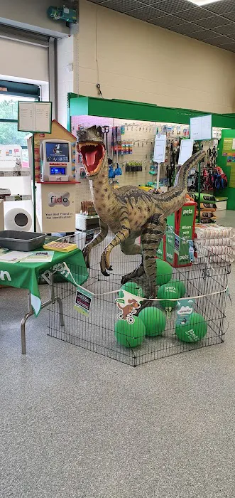 Pets at Home Cardiff Picture 2