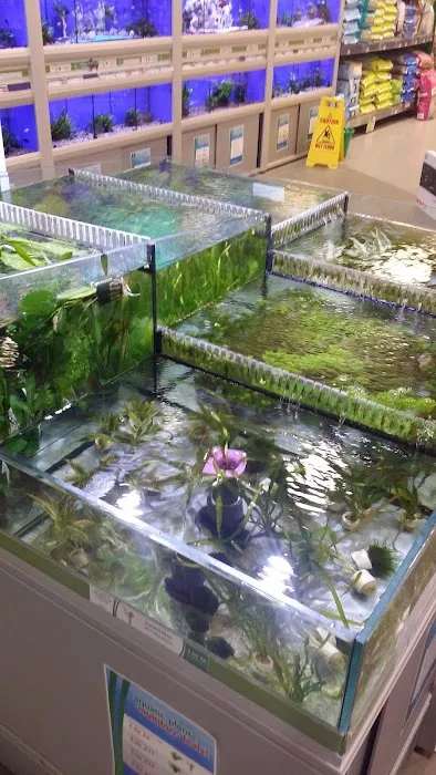 Pets at Home Cardiff Picture 4