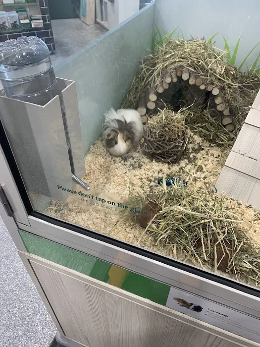 Pets at Home Cardiff Picture 7