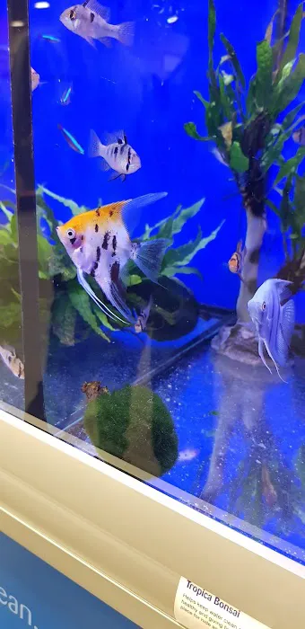 Pets at Home Cardiff Picture 9