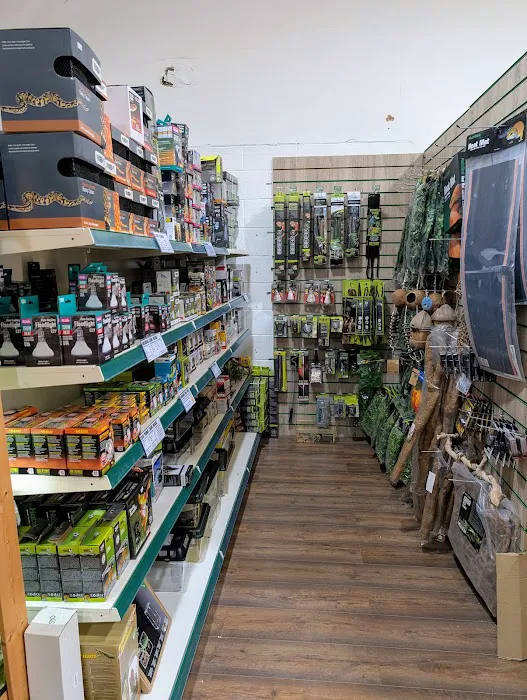 Reptile Cymru Picture 3