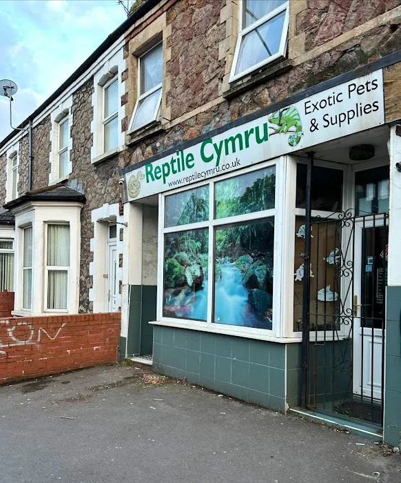 Reptile Cymru Picture 2