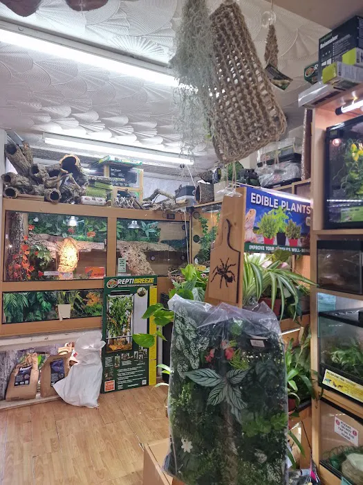 Reptile Cymru Picture 4