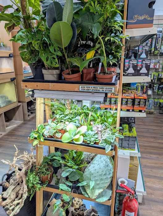 Reptile Cymru Picture 8