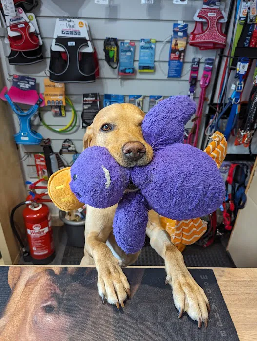 Penarth Pet Shop Picture 8