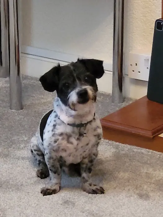 Penarth Pet Shop Picture 7