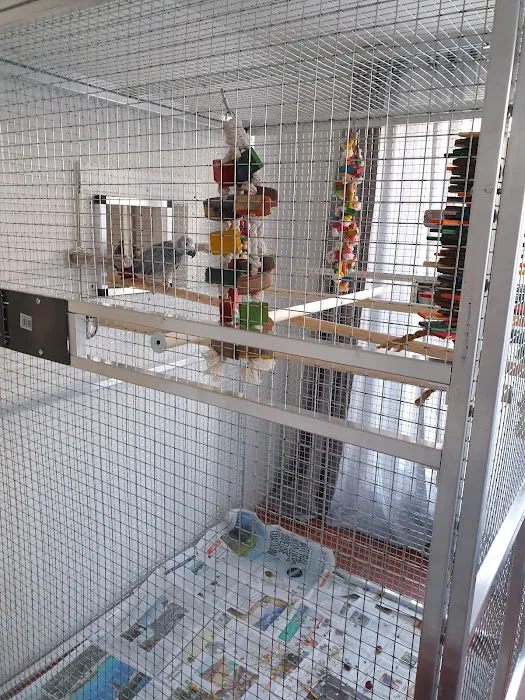 Rosemead Aviaries Picture 1