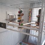 Rosemead Aviaries