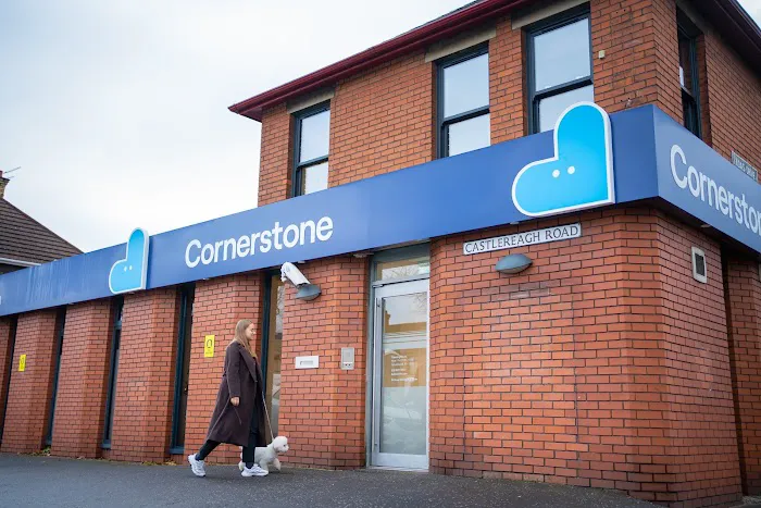 Cornerstone Veterinary Clinic Picture 2