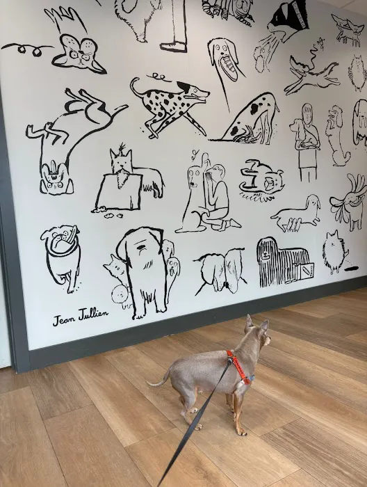 Cornerstone Veterinary Clinic Picture 4