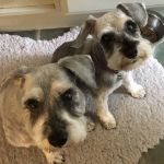 Cedar Grove Veterinary Clinic