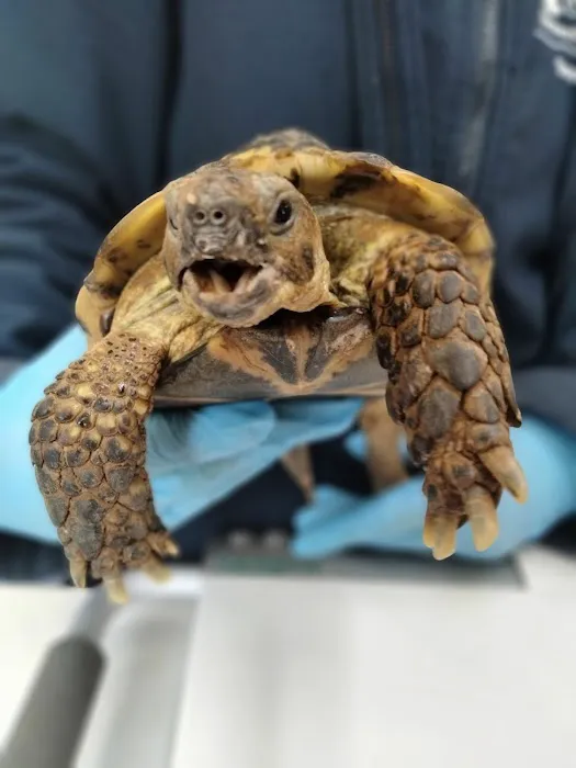 Cedar Grove Veterinary Clinic Picture 6