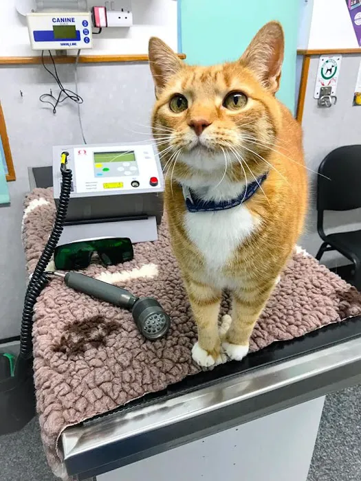 Cedar Grove Veterinary Clinic Picture 4