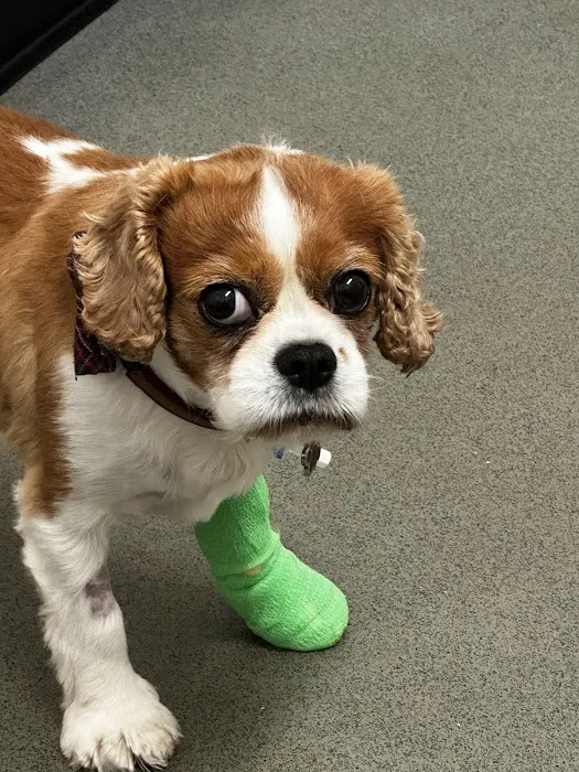 Cedar Grove Veterinary Clinic Picture 10