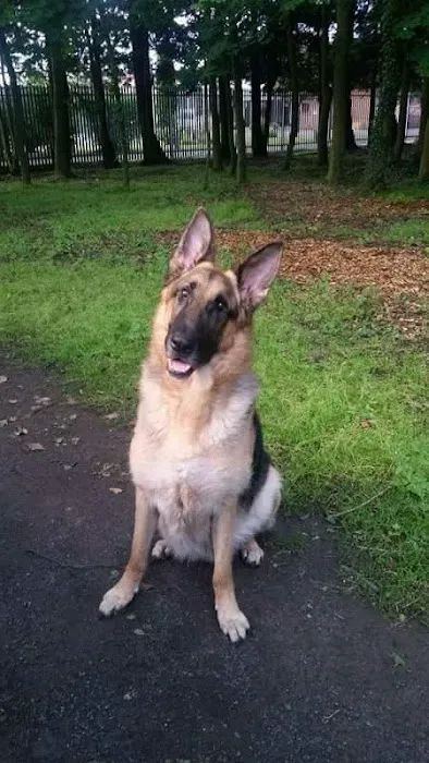 Belfast PDSA Pet Clinic Picture 4