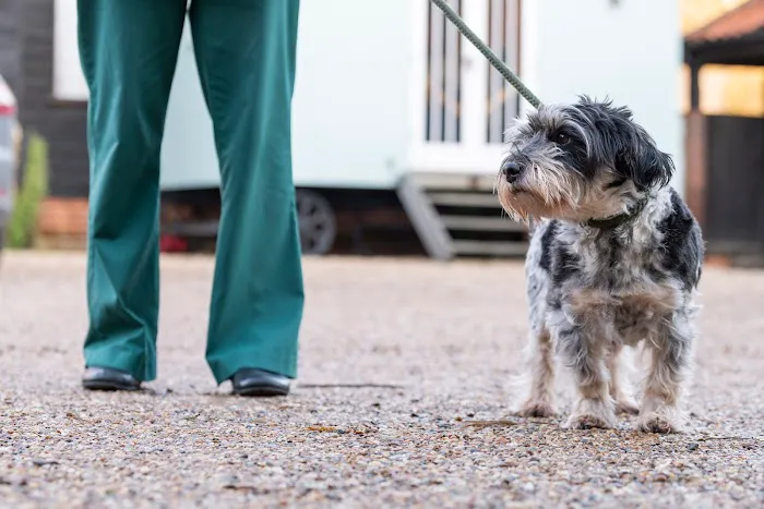 Cavehill Veterinary Clinic Picture 7