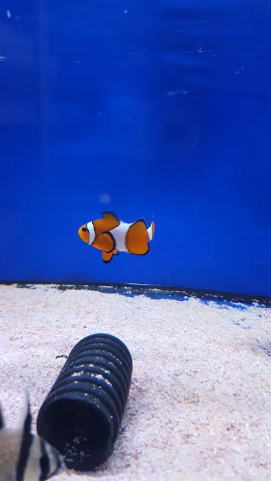 Exotic Aquatics Picture 4