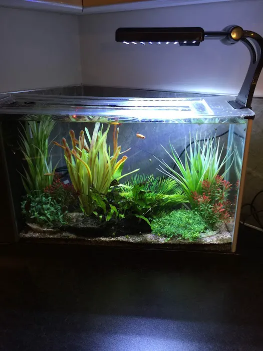 Exotic Aquatics Picture 5