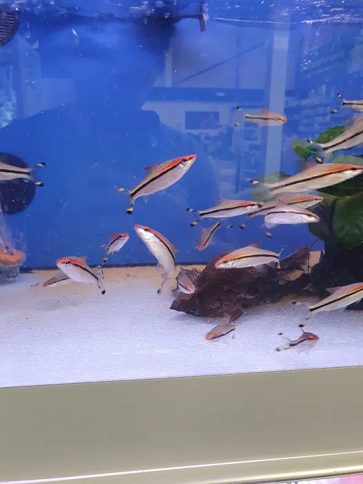 Exotic Aquatics Picture 6