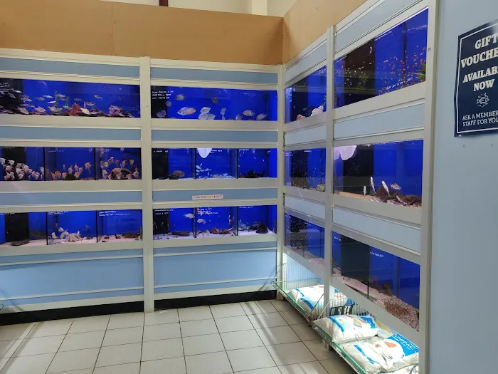 Exotic Aquatics Picture 7