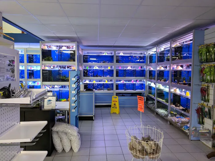 Exotic Aquatics Picture 9