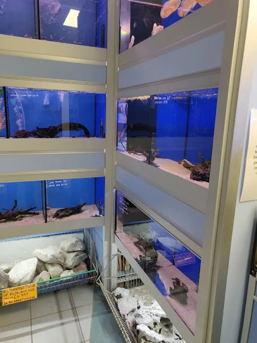 Exotic Aquatics Picture 10